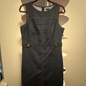 Ann Taylor Dark Denim Dress